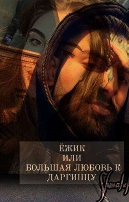 "Ёжик" или "Большая любовь к даргинцу"