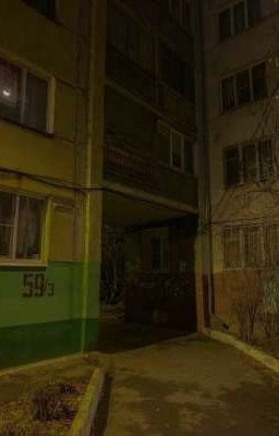 В тишине ночи (минсоны)