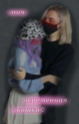 Моя беременная кошка
