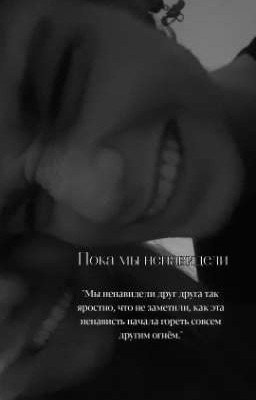 Пока мы ненавидели P.M