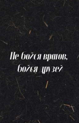 Не бойся врагов, бойся друзей