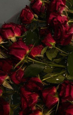 временем забытые враги