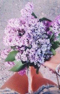 Сирень