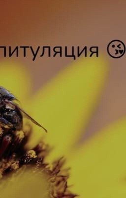 Капитуляция 