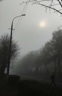 Человек Себе Не Друг