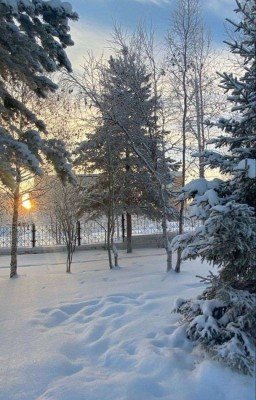 Место