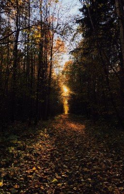 Сноп искр среди темноты