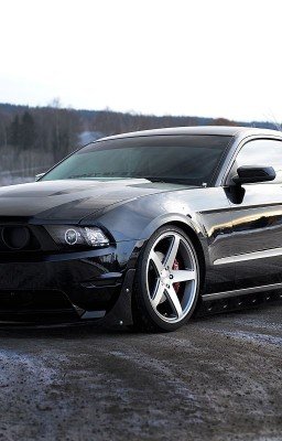 Monster