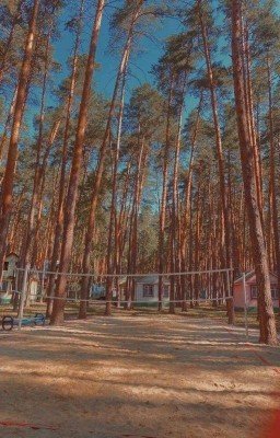 Лагерь «Лесной»|| Софья Кульгавая