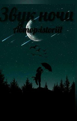 Звук ночи