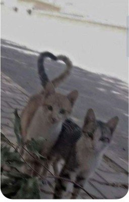 #1