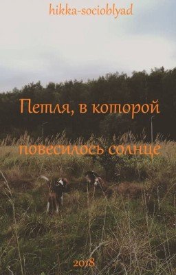 Петля, в которой повесилось солнце