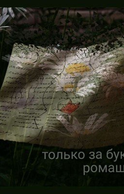 Только за букет ромашек