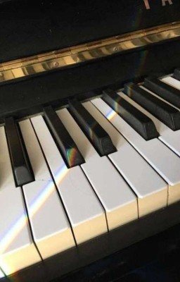 Страсть, которую видел лишь рояль