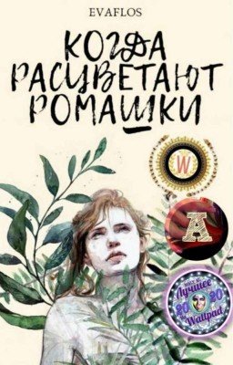 Когда расцветают ромашки