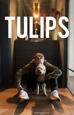 тюльпаны | frenkie de jong