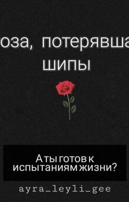 Роза, Потерявшая Шипы 🌹