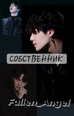 Собственник  
