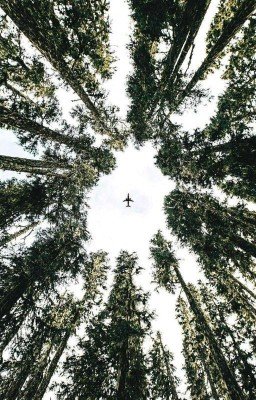 Однажды в катастрофе