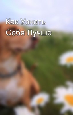 Как Узнать Себя Лучше