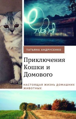 Приключения Кошки и Домового