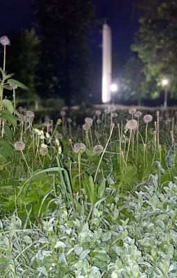 Мой поцелуй предательски красив 