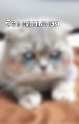 без названия
