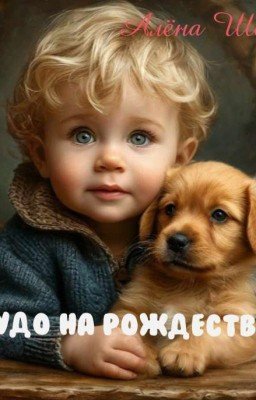 Чудо на Рождество 
