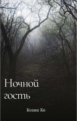 Ночной гость (стихотворение)
