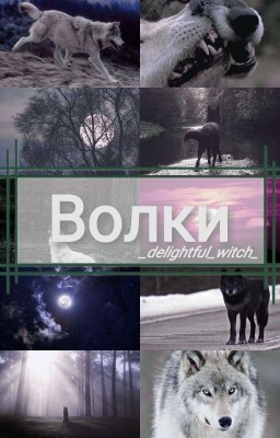 Волки 🐺