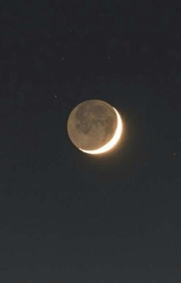 Moon for wolf