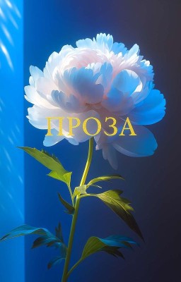 Прози