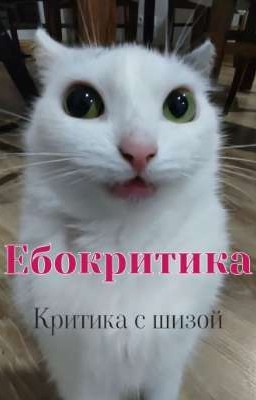 Ебокритика