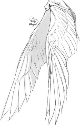 Crippled Bird