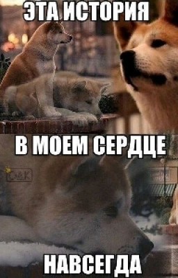 КОЛЕСОВА НАТАЛЬЯ. ОБОРОТЕНЬ