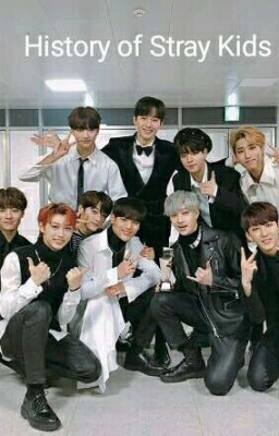 History of Stray Kids