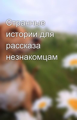 Странные истории для рассказа незнакомцам