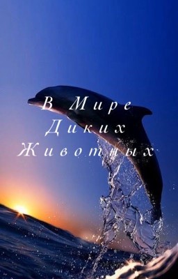 В Мире Диких Животных