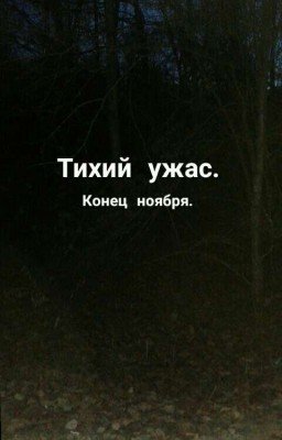 Тихий ужас. Конец ноября.