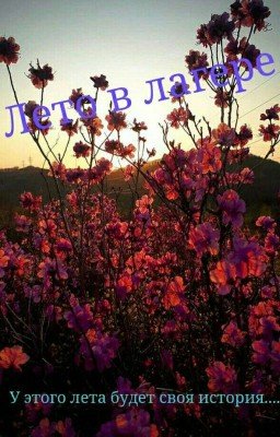 Лето в лагере(ЗАМОРОЖЕННО)
