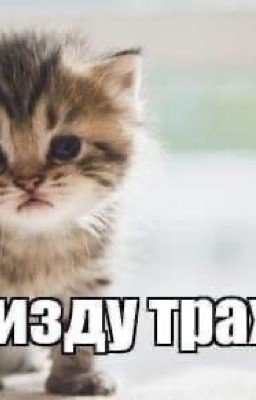 Питомец (ЗАМОРОЖЕНО)