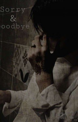 Sorry & Goodbye