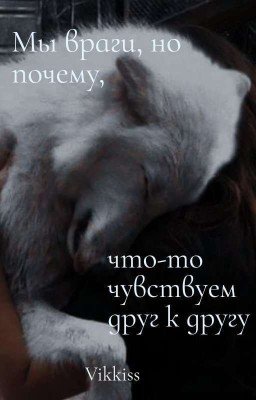 Мы враги, но почему, что-то чувствуем друг к другу?...