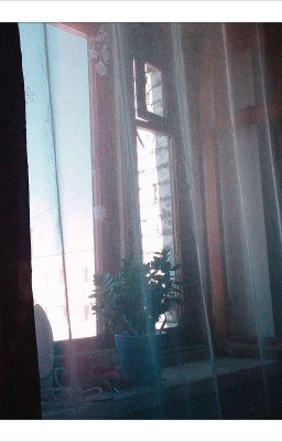 Осень её жизни