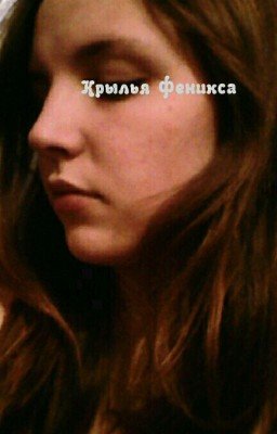Крылья Феникса