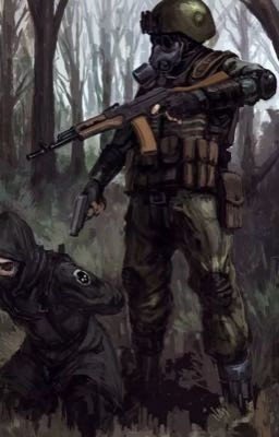 S.T.A.L.K.E.R. , но если бы ты был/а на месте гг..