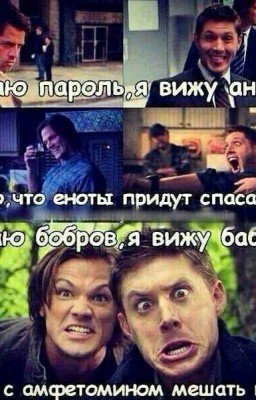 Бред мое головы . Крч ржач.