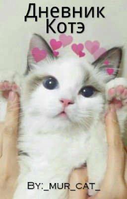 Дневник Котэ