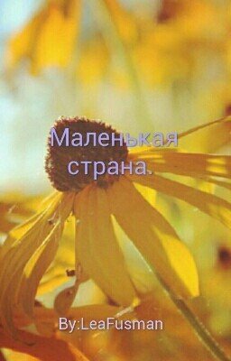 Маленькая страна.