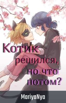 Котик решился, но что потом?